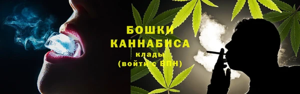 ГАЛЛЮЦИНОГЕННЫЕ ГРИБЫ Пересвет
