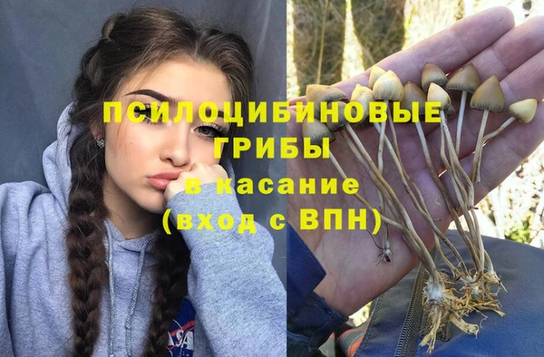 соль ск Пестово