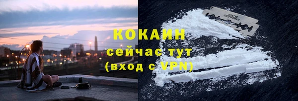 соль ск Пестово
