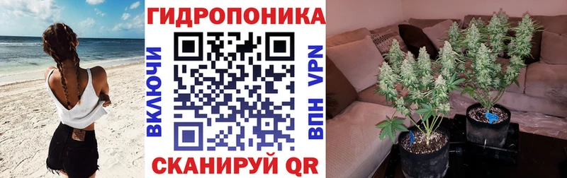 Бошки Шишки OG Kush  darknet формула  Боровичи  где купить наркоту  MEGA  